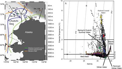 <mark class="highlighted">Nitrogen Limitation</mark> of the Summer Phytoplankton and Heterotrophic Prokaryote Communities in the Chukchi Sea